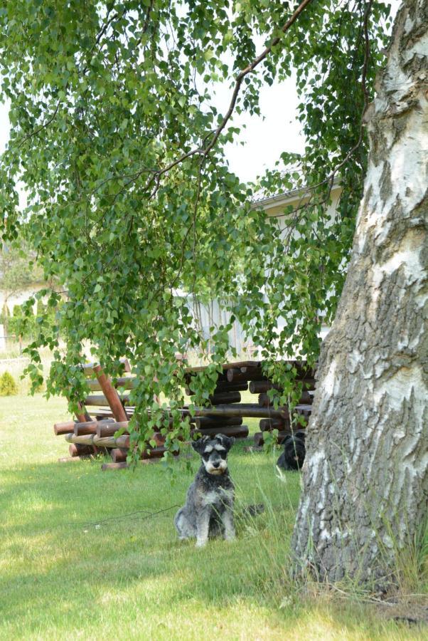 Zakatek W Zaciszu Villa Ustka Dış mekan fotoğraf
